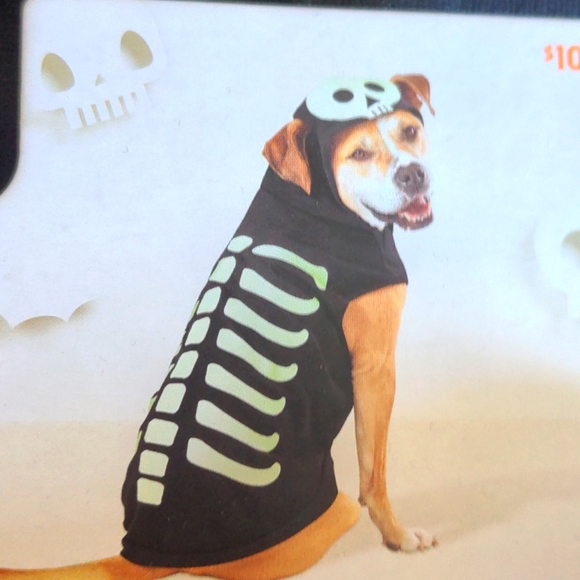 Glow in the dark skeleton pet costume - Picture 1 of 6